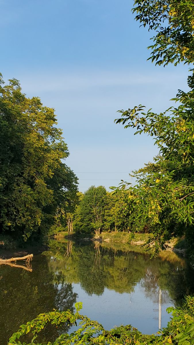 Woodville Estados Unidos, Previsión meteorológica a 14 días, Radar