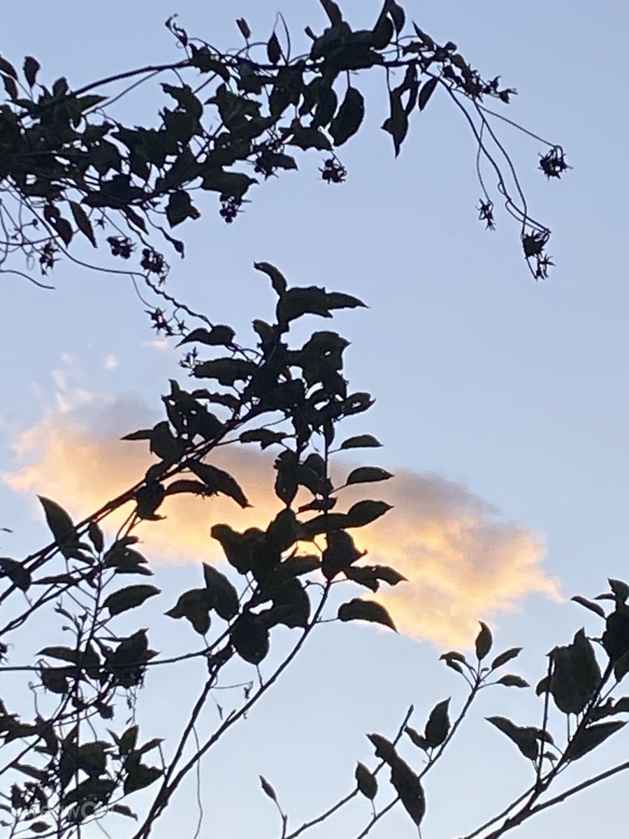 Fotógrafo Lulu5523, Fotos sobre el clima en le Plateau - Weawow