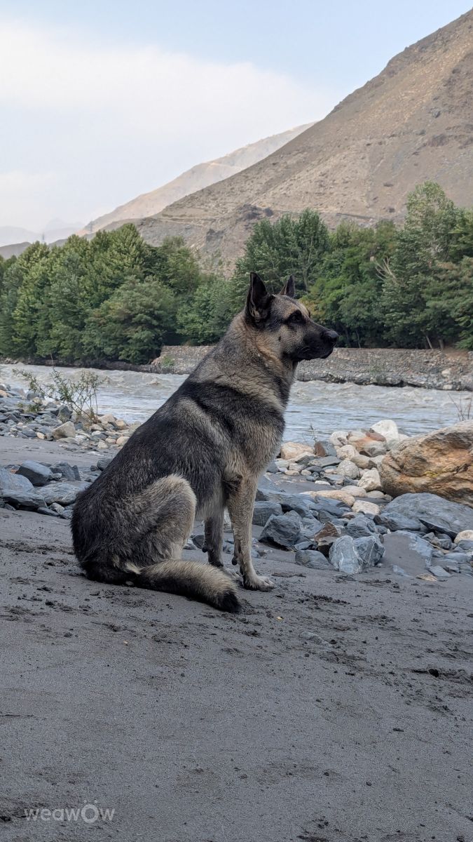 Previsões do tempo com lindas fotos de Trekchitral