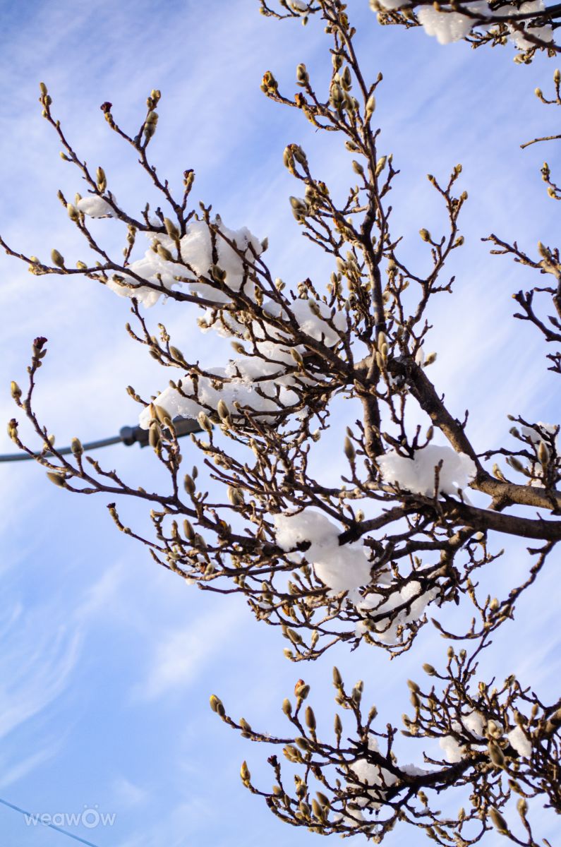Weather Photos in Veliko Tarnovo. Weather forecasts with beautiful photos by derezina