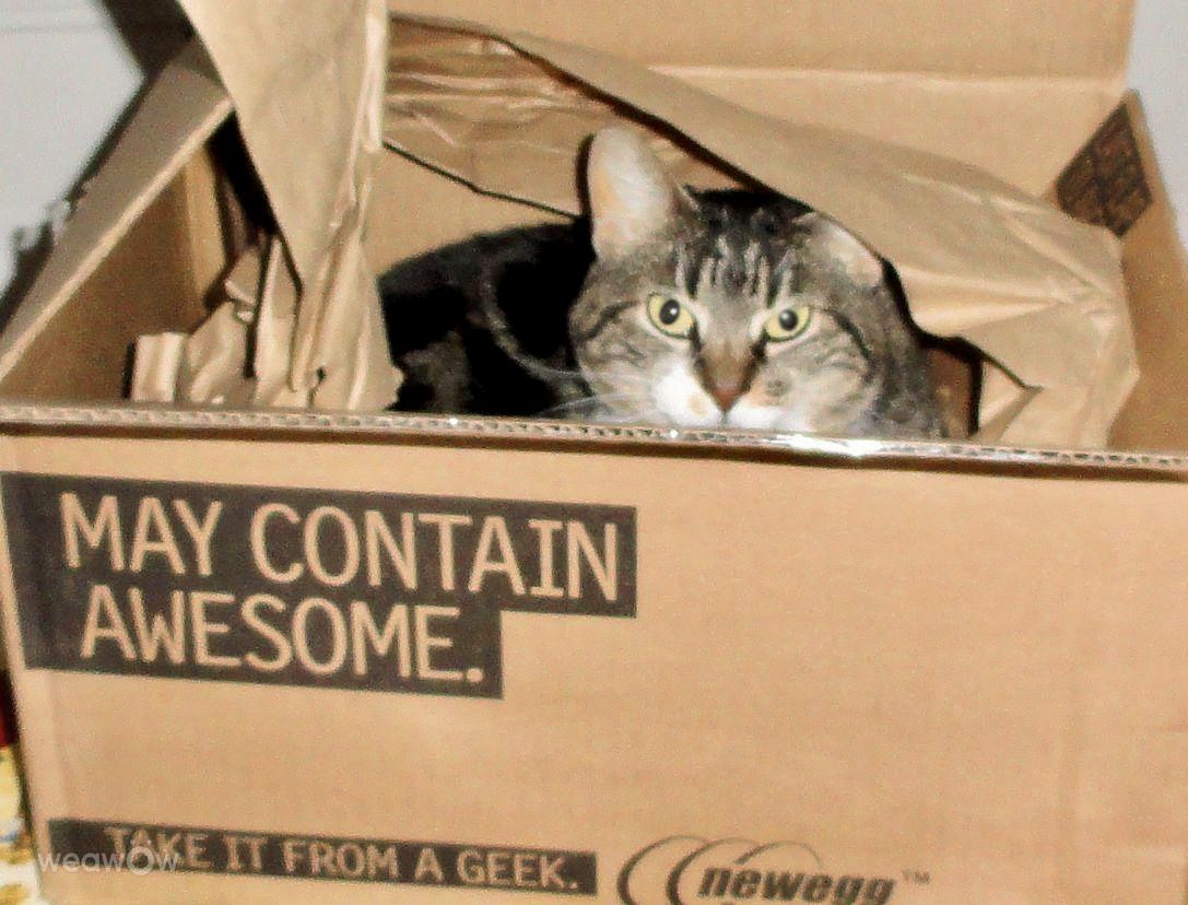 摄影师 Cajungrl26，Laplace的天气照片 - Weawow