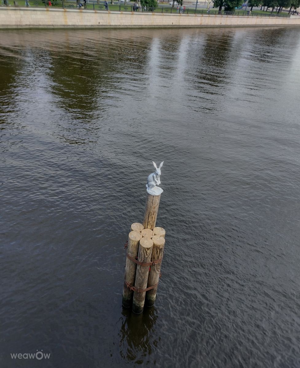Fotos sobre el clima en San Petersburgo. Pronósticos del tiempo con hermosas fotos de Svetlana3