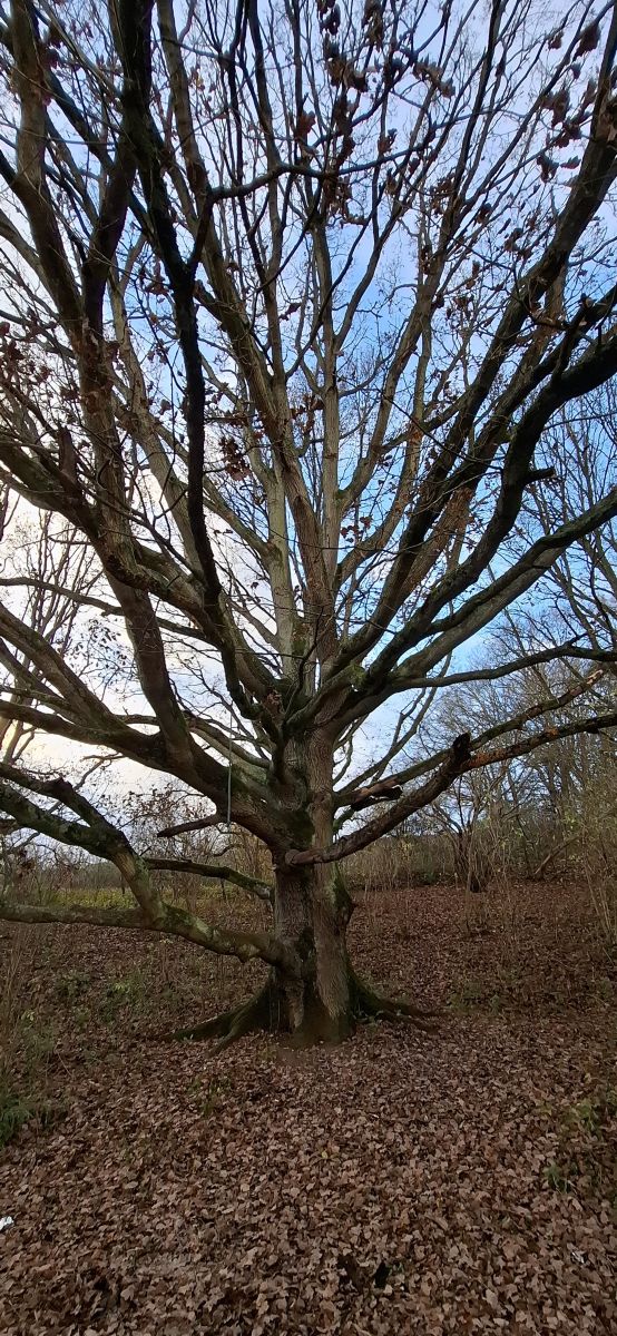 Wateringburyの天気写真. Lolliの美しい写真による天気予報