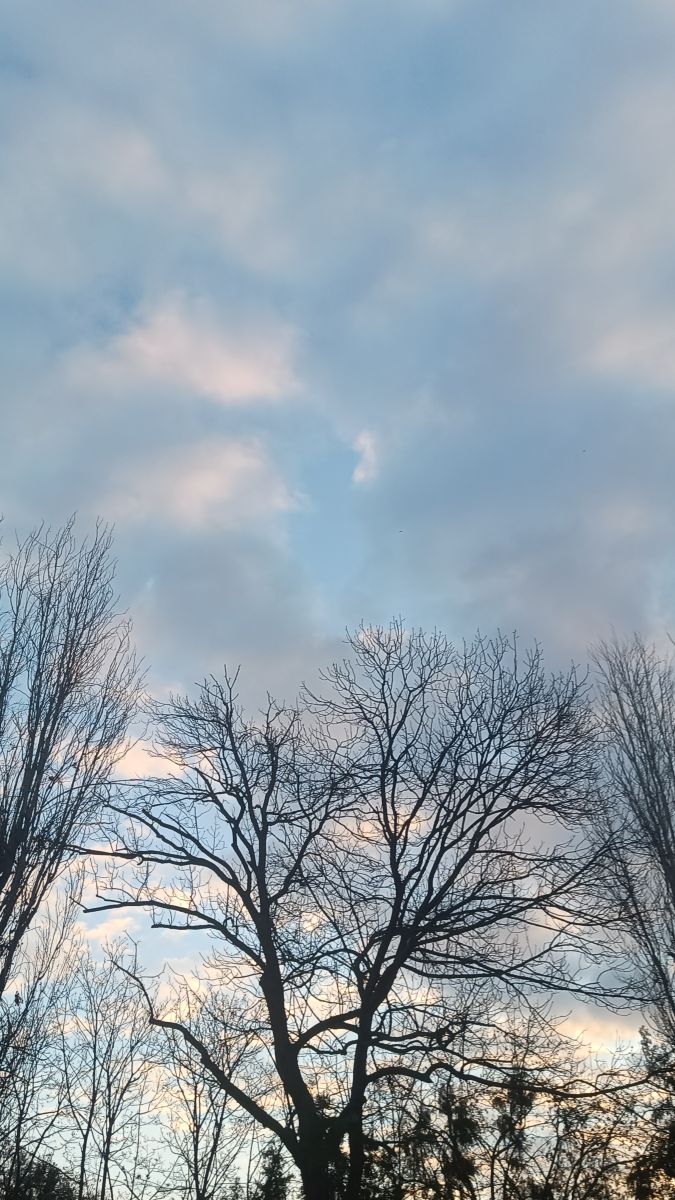 Fotógrafo YanBog, Fotos sobre el clima en București - Weawow