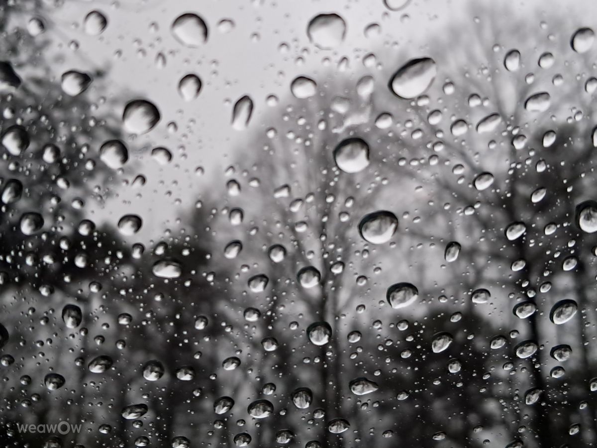 Photos météo à Géorgie. Prévisions météo avec de superbes photos de C-L-Holt