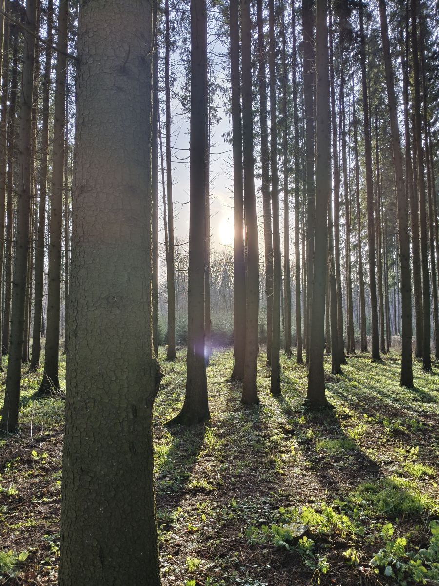 Wetter Photos Tul'skaya Oblast'. Wettervorhersagen mit schönen Fotos von Aleksei