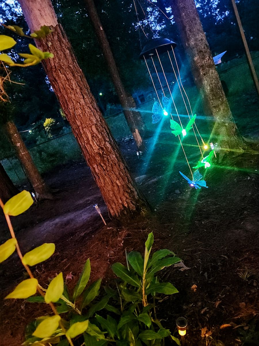 Photographer JenniferLeighIsMe, Weather Photos in Denham Springs - Weawow