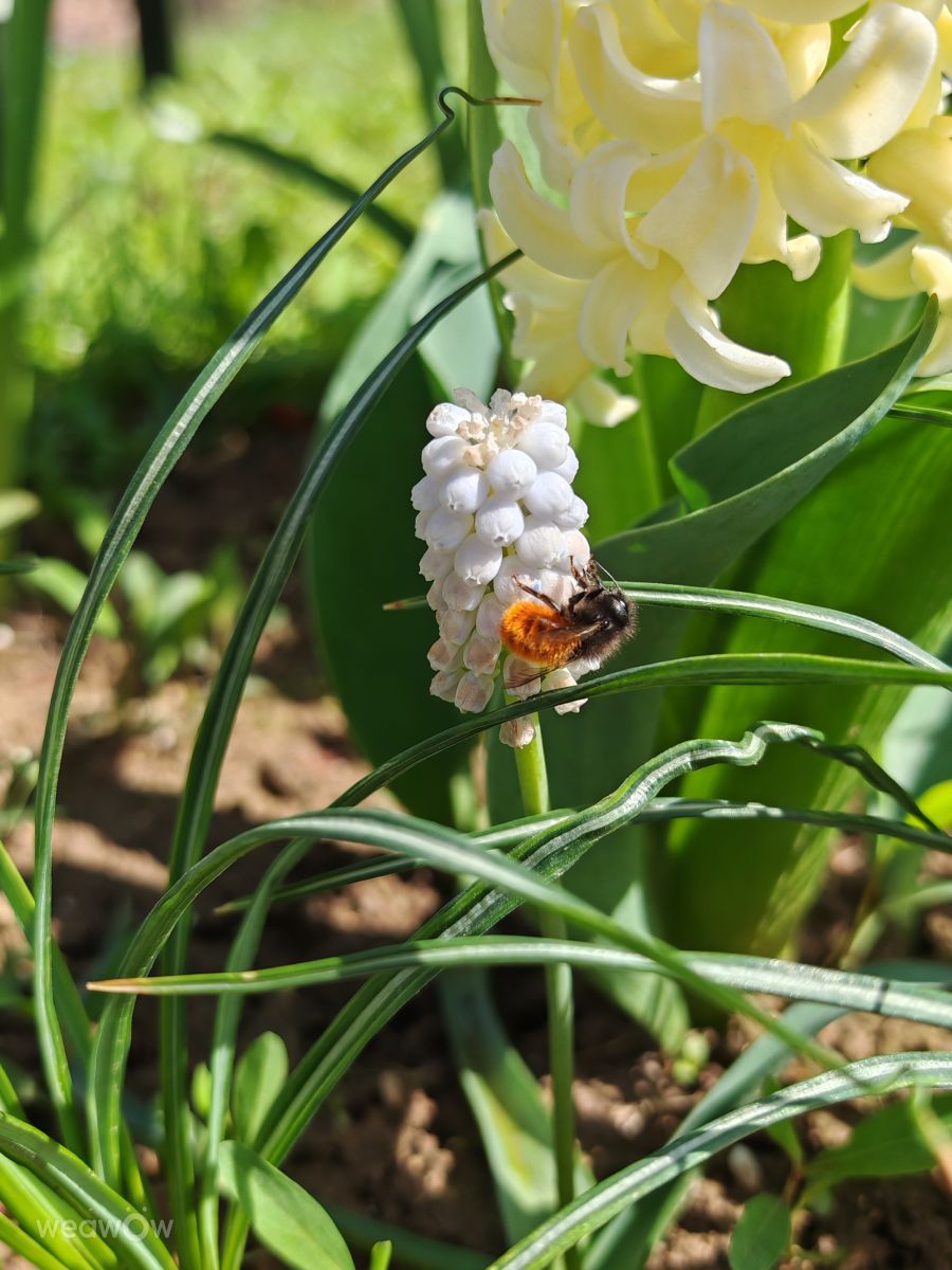 Elenaの天気写真. Boris Daskalovの美しい写真による天気予報