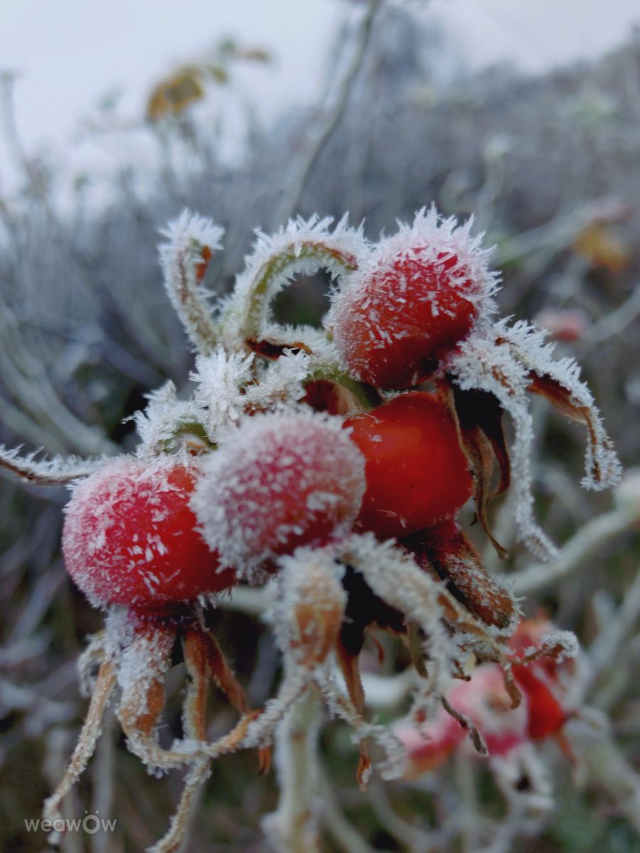 Wetter Photos Estland. Wettervorhersagen mit schönen Fotos von Jutik