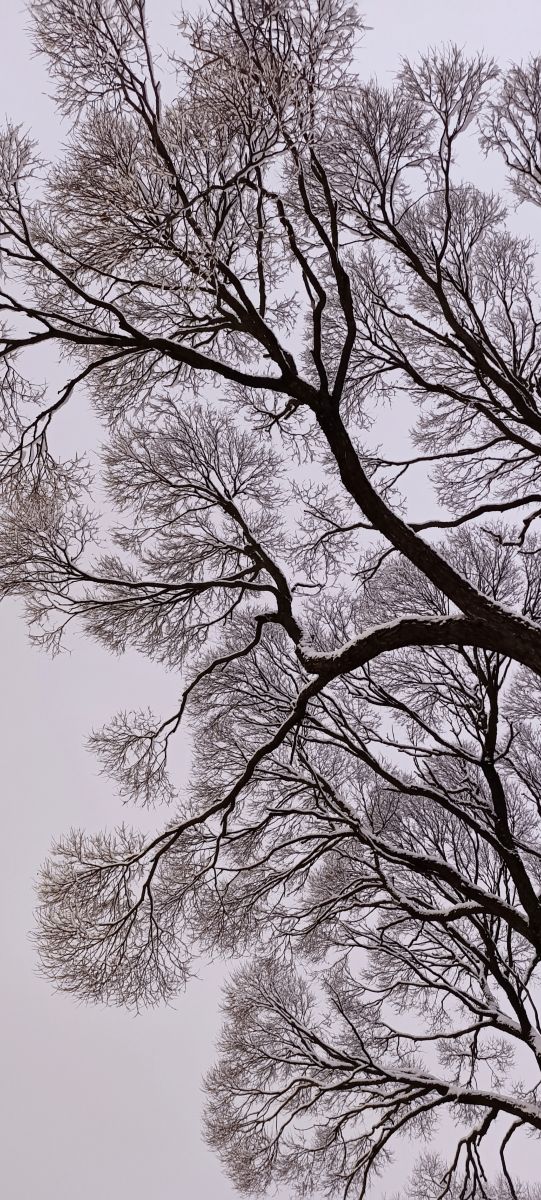 Fotos sobre el clima en Kolpino. Pronósticos del tiempo con hermosas fotos de Lena_Glukhova