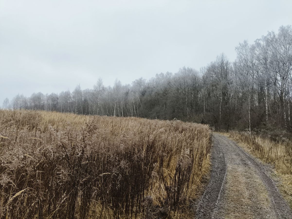 Wetter Photos Tul'skaya Oblast'. Wettervorhersagen mit schönen Fotos von Aleksei