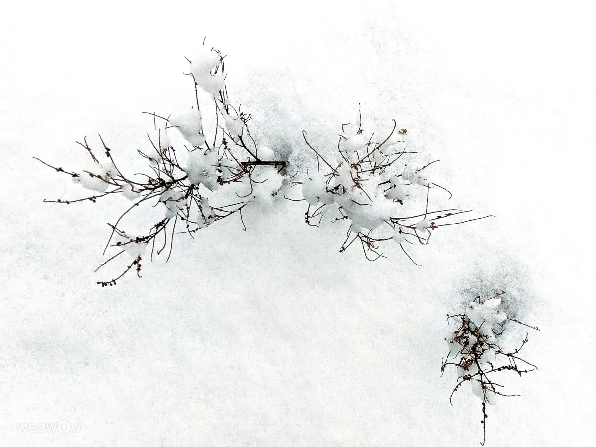 摄影师 aastrelkova，Sarapul Railway Station的天气照片 - Weawow