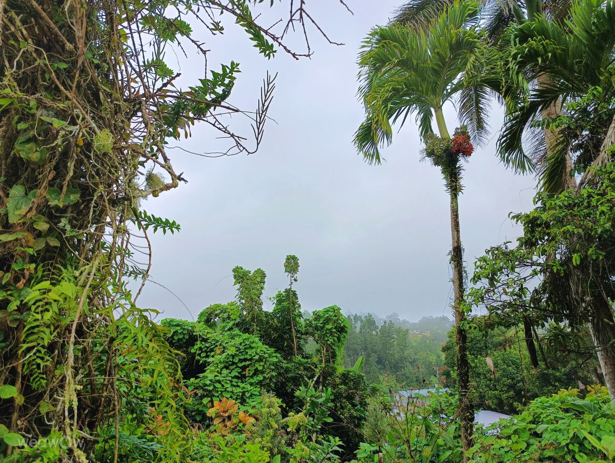 Weather Photos in Puerto Rico. Weather forecasts with beautiful photos by lcruz23