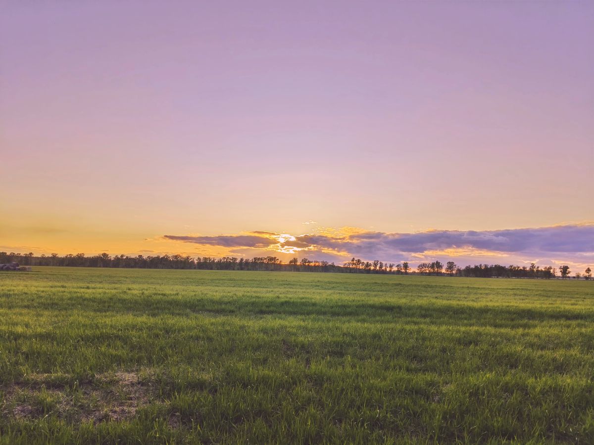 Weather Photos in Kaluga Oblast. Weather forecasts with beautiful photos by Aleksei