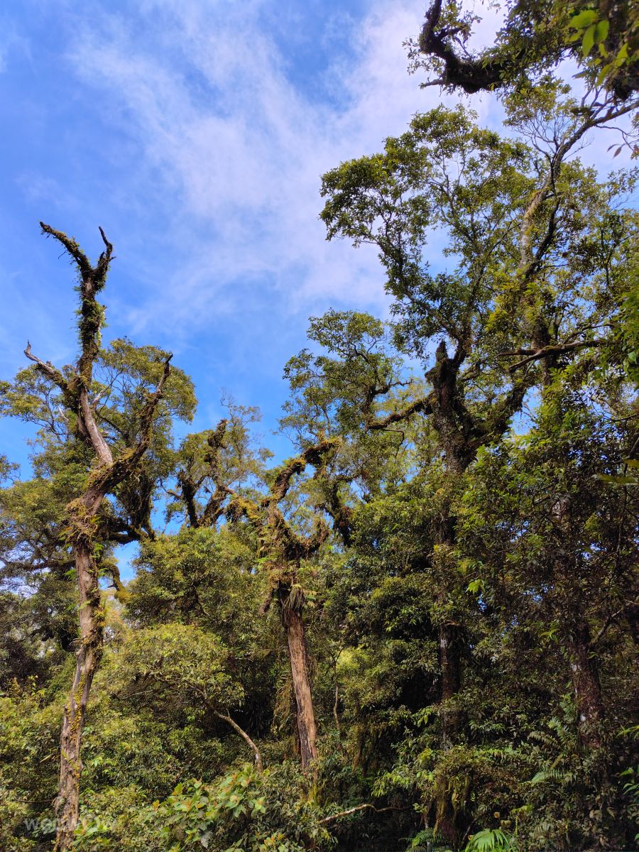 Weather Photos in Indonesia. Weather forecasts with beautiful photos by carolfoltz