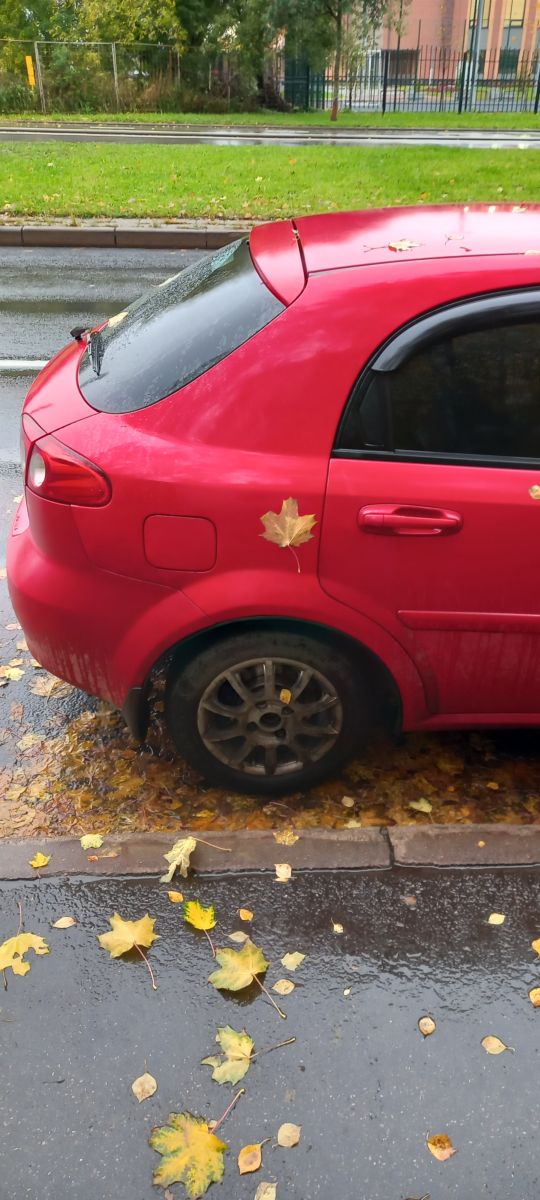 Fotógrafo Prohojiy, Fotos sobre el clima en Pushkin - Weawow