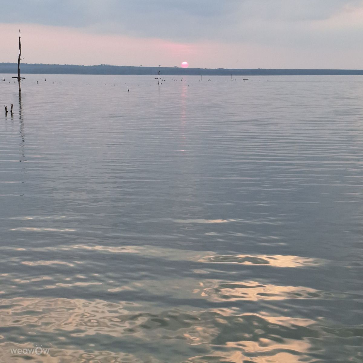 São Paulo的天气照片. 天气预报，带Edsom精美的照片