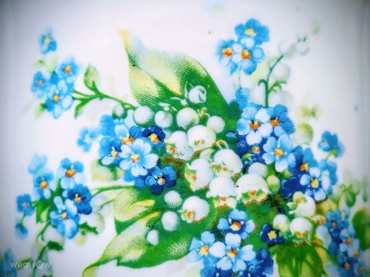 Weather forecasts with beautiful photos by hejpetrpepa