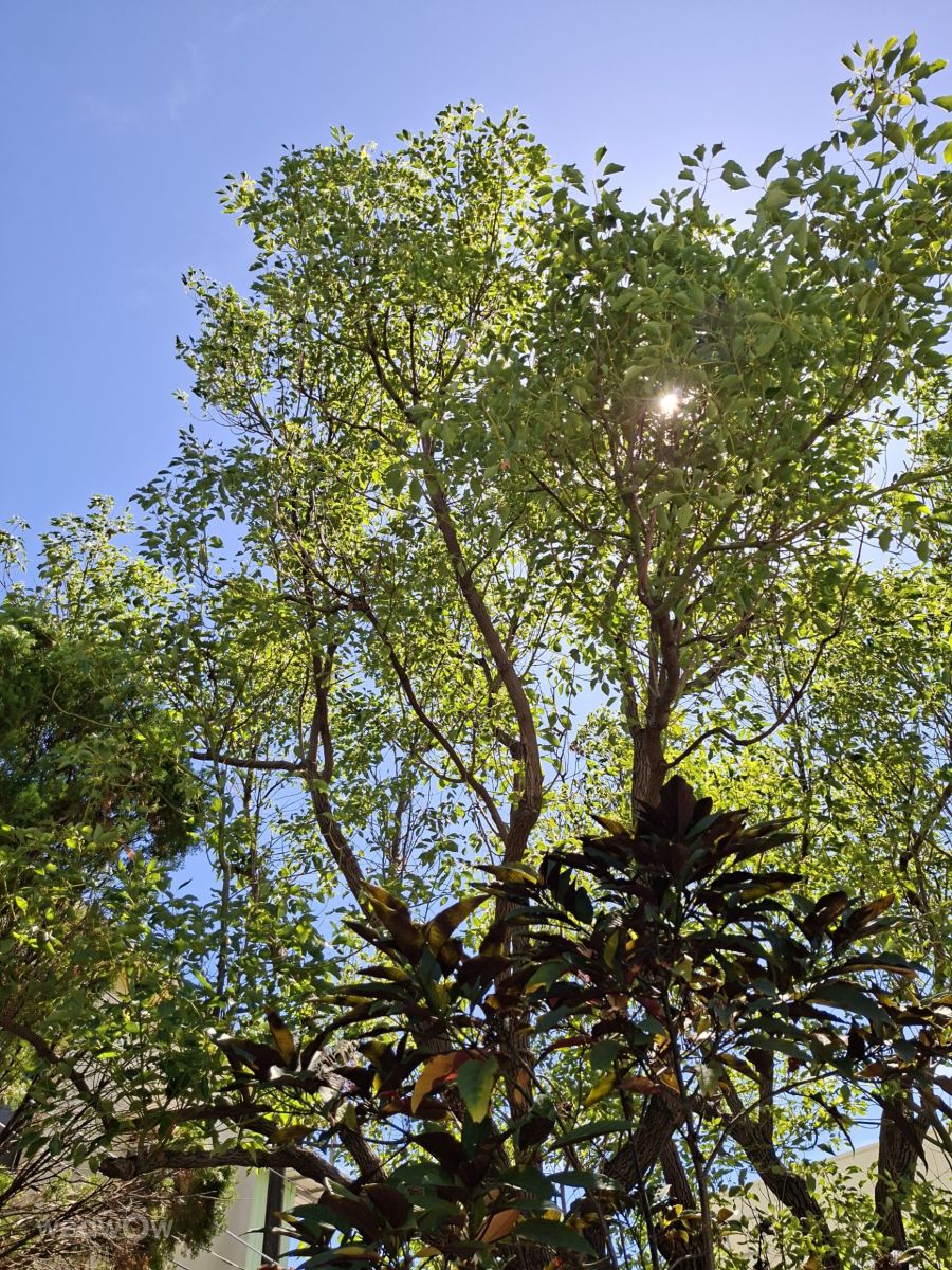 Fotografos Wen-ya Huang, Fotos do tempo em Kaohsiung City - Weawow