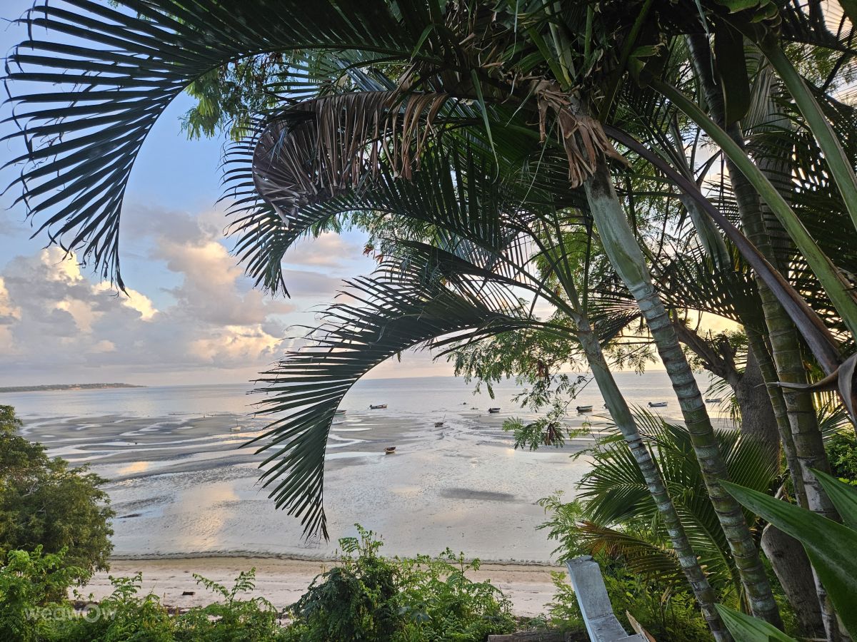 Weather Photos in Mozambique. Weather forecasts with beautiful photos by Cumhur Cemal Özmen