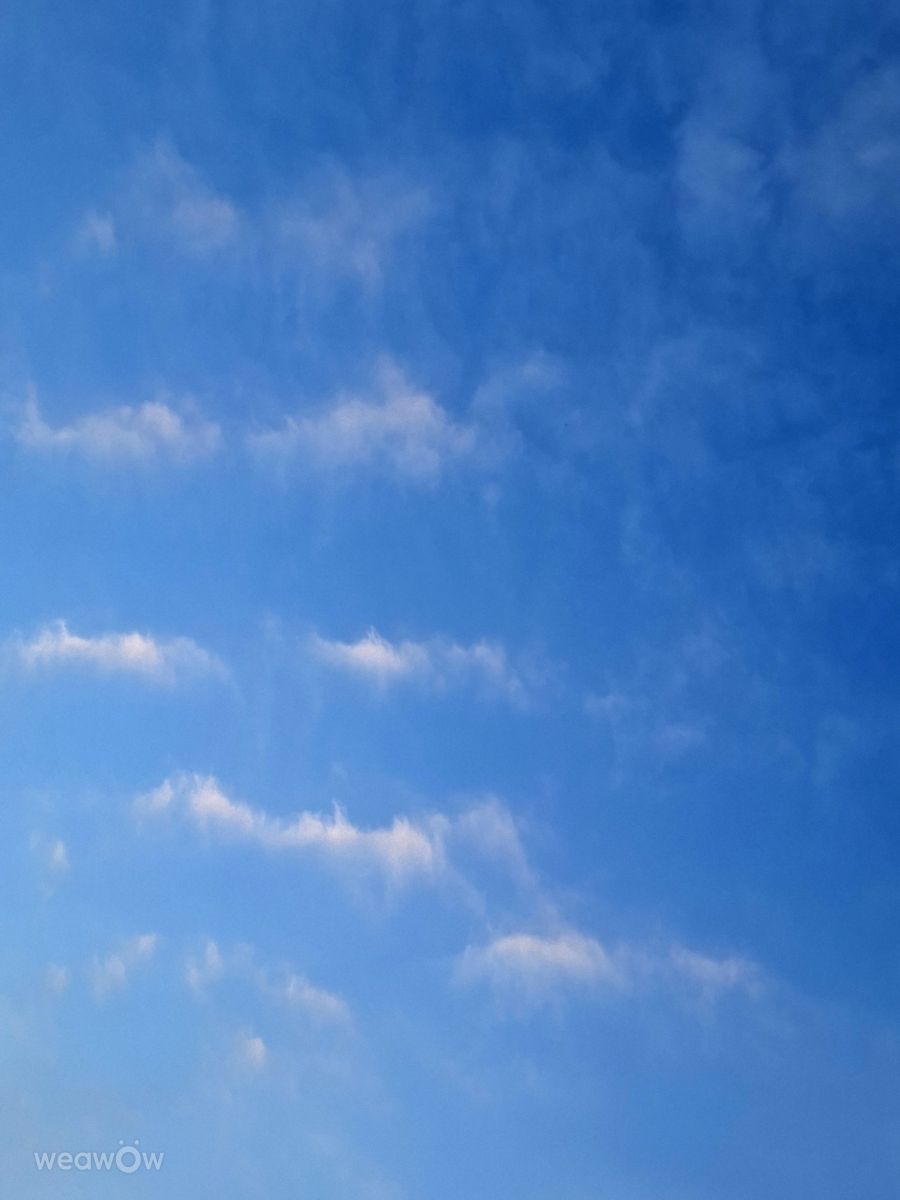 写真家 Wen-ya Huang、高雄市の天気写真 - Weawow