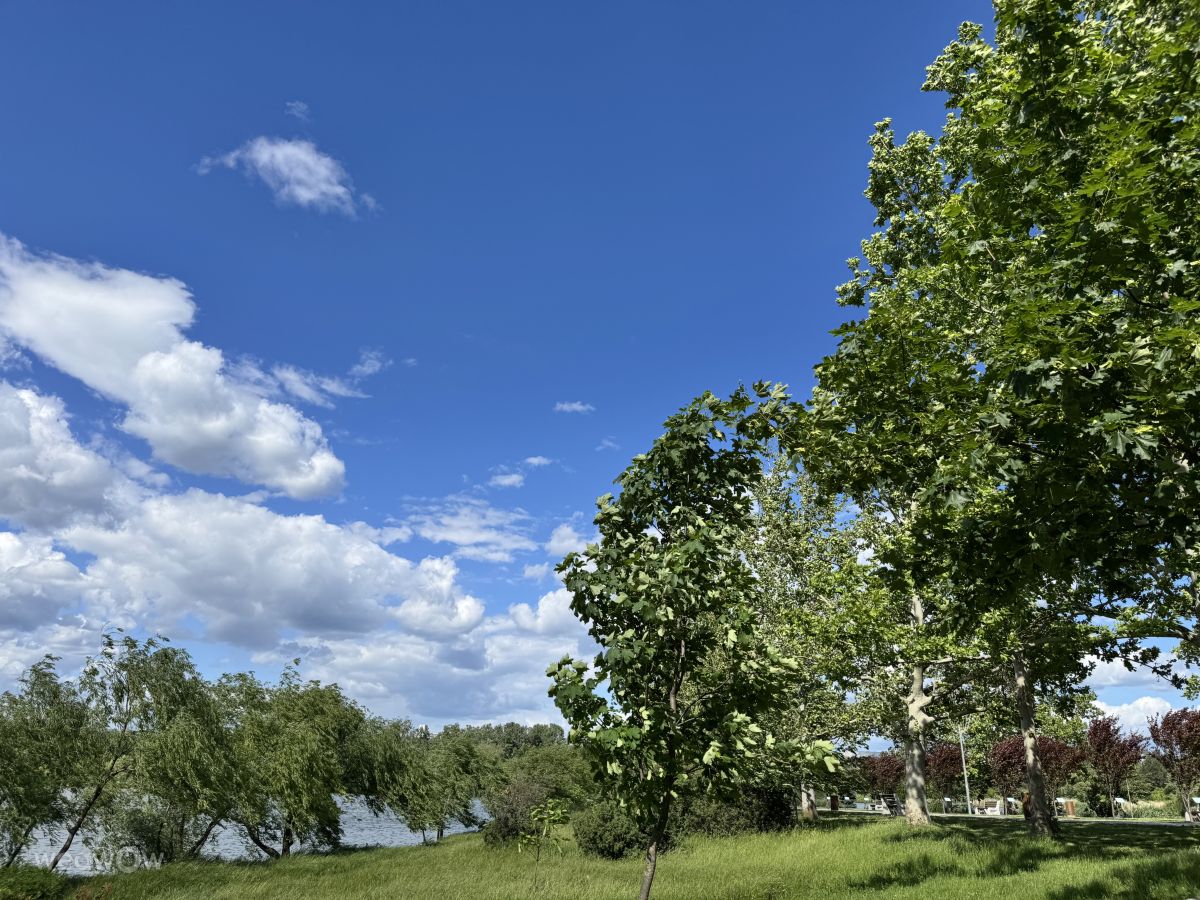 Fotos sobre el clima en Chișinău. Pronósticos del tiempo con hermosas fotos de Sonia