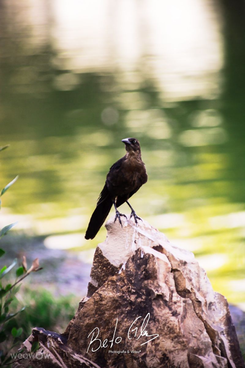 Weather Photos in Ciudad Juárez. Weather forecasts with beautiful photos by BETOGONZALEZ