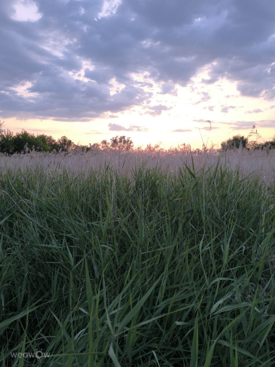 Weather Photos in Ukraine. Weather forecasts with beautiful photos by Ivan Barskiy