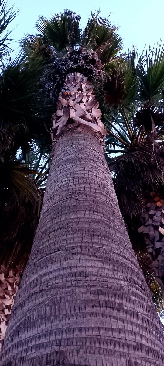 MORの美しい写真による天気予報