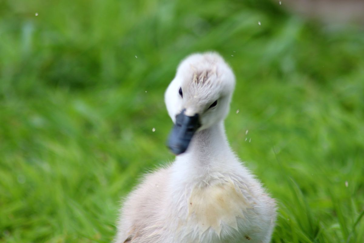 Фотографии Погоды в Адлер. Прогнозы погоды с чудесными фотографиями, сделанными rx9cig