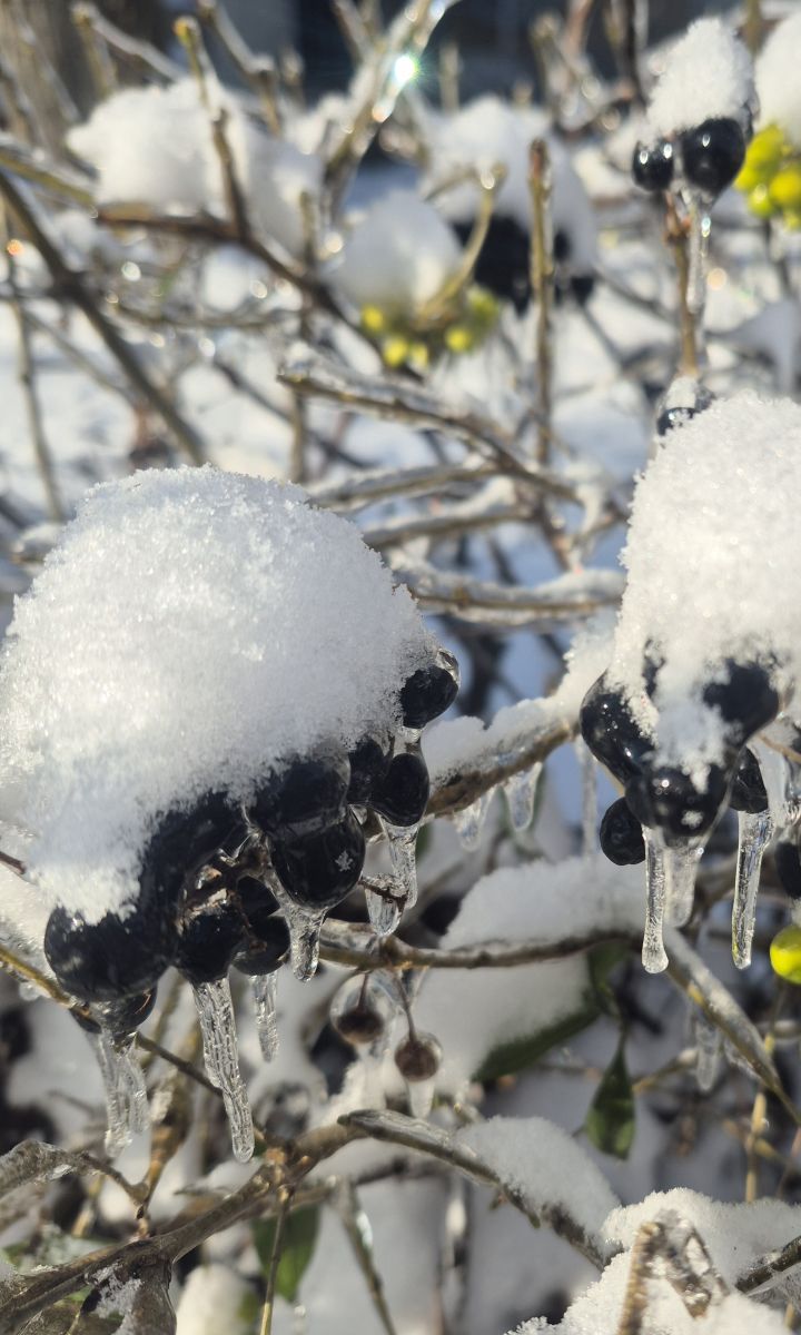 Fotos sobre el clima en Bila Tserkva. Pronósticos del tiempo con hermosas fotos de Маргарита Котенко