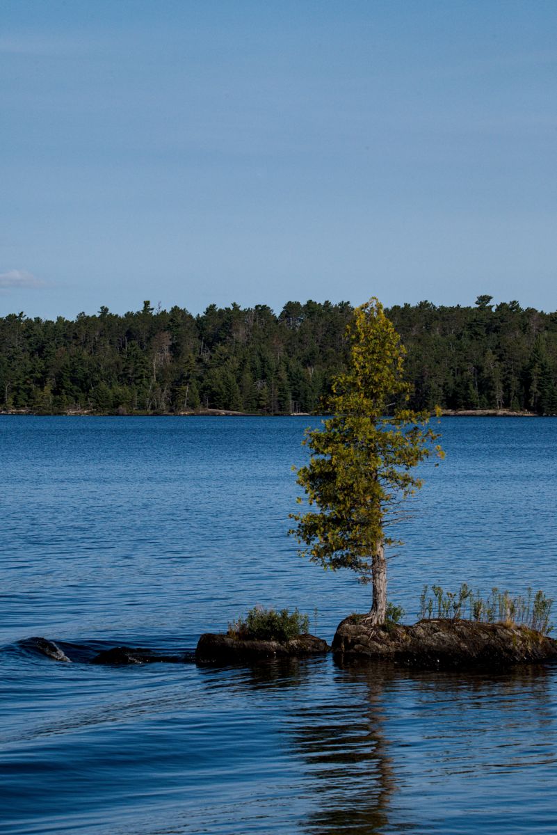Weather Photos in Rainy Lake. Weather forecasts with beautiful photos by krantzjh