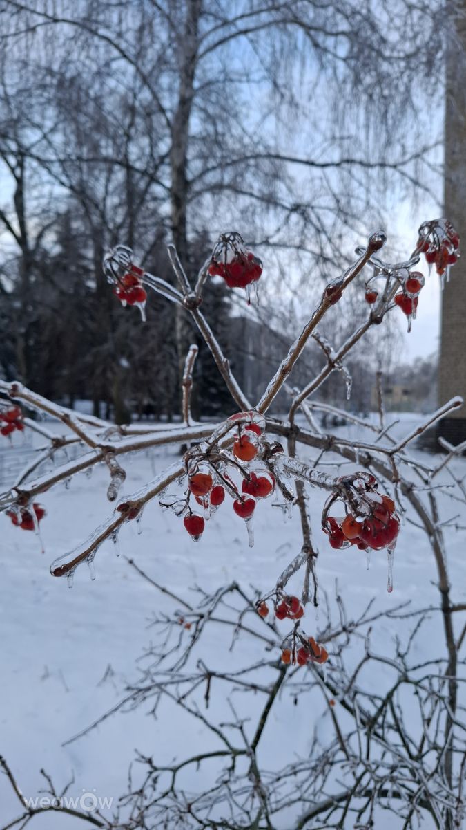 Weather Photos in Kryvyi Rih. Weather forecasts with beautiful photos by Євген_К