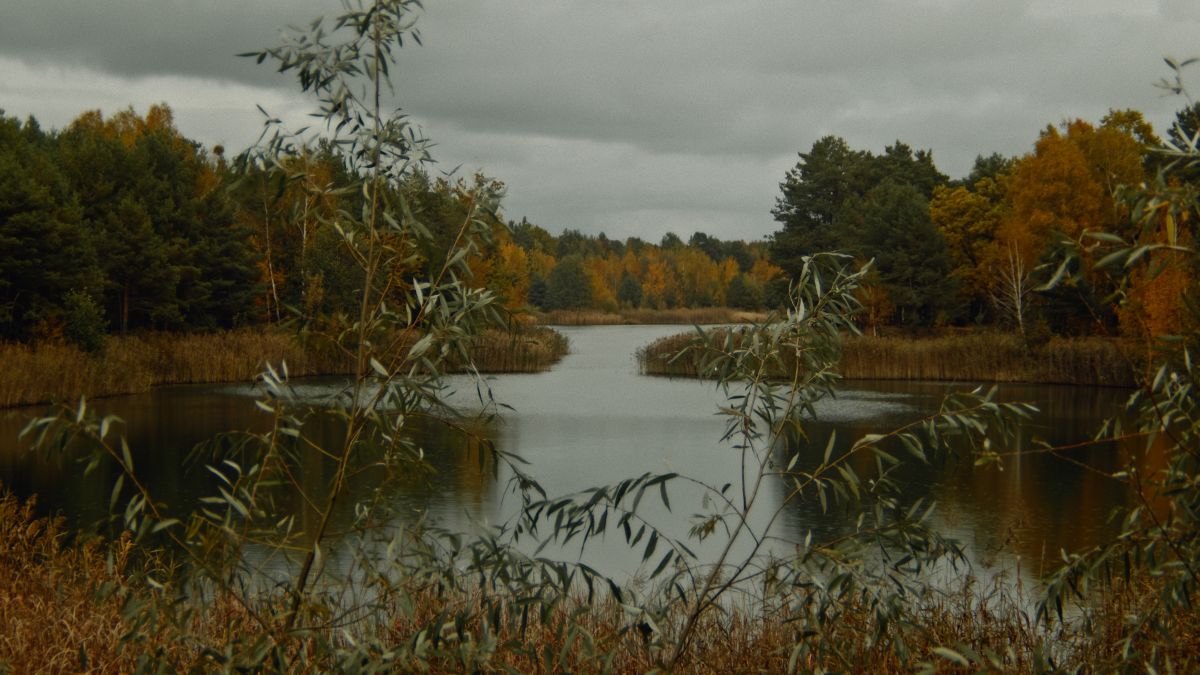 Фотографии Погоды в Brest. Прогнозы погоды с чудесными фотографиями, сделанными RuslanLeuliukh