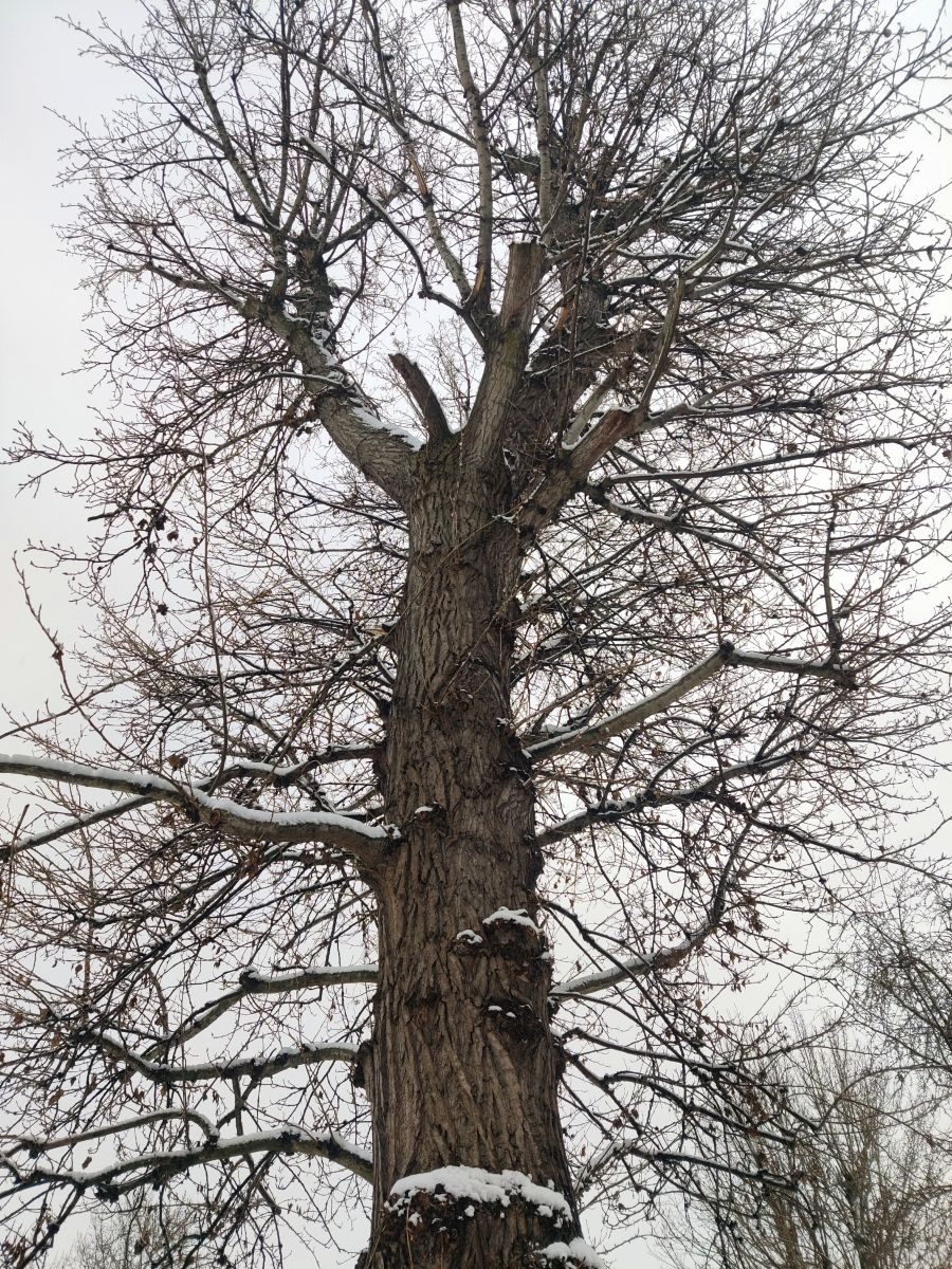 Фотограф Zorrra, Фотографии Погоды в Neukölln - Weawow