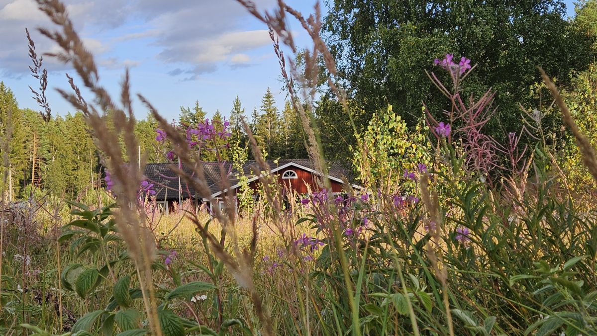 Fotos sobre el clima en Suecia. Pronósticos del tiempo con hermosas fotos de groenke