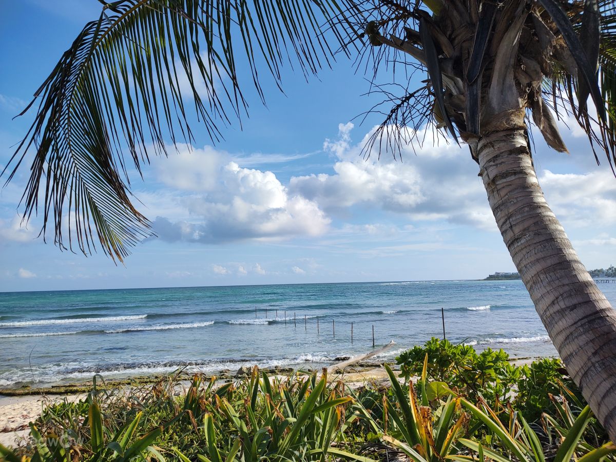 天气预报，带Roberto Goode精美的照片