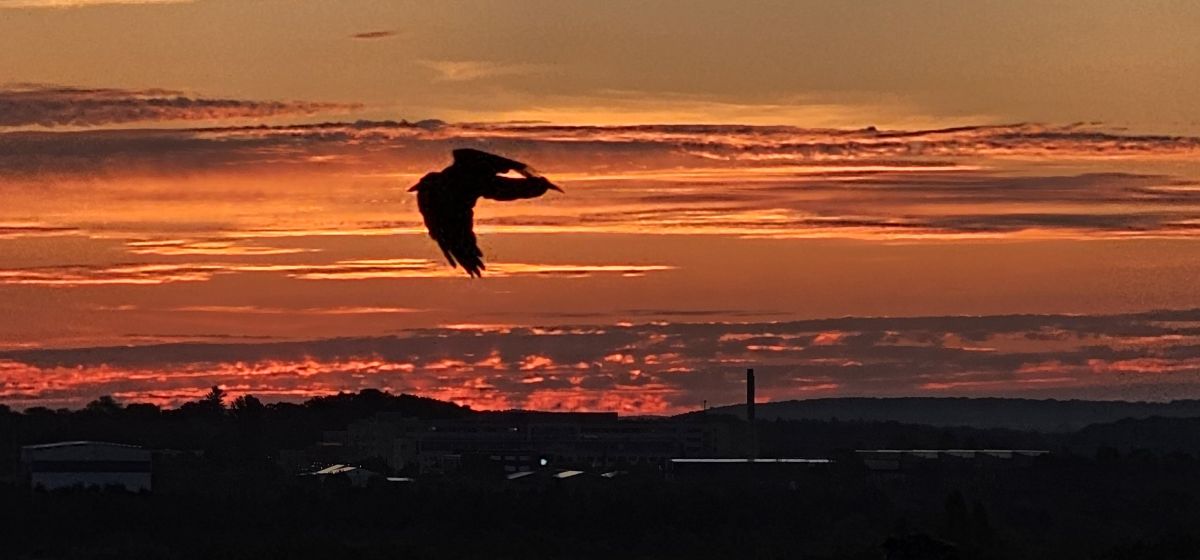 Fotografos Thinner1000, Fotos do tempo em Schwerin - Weawow