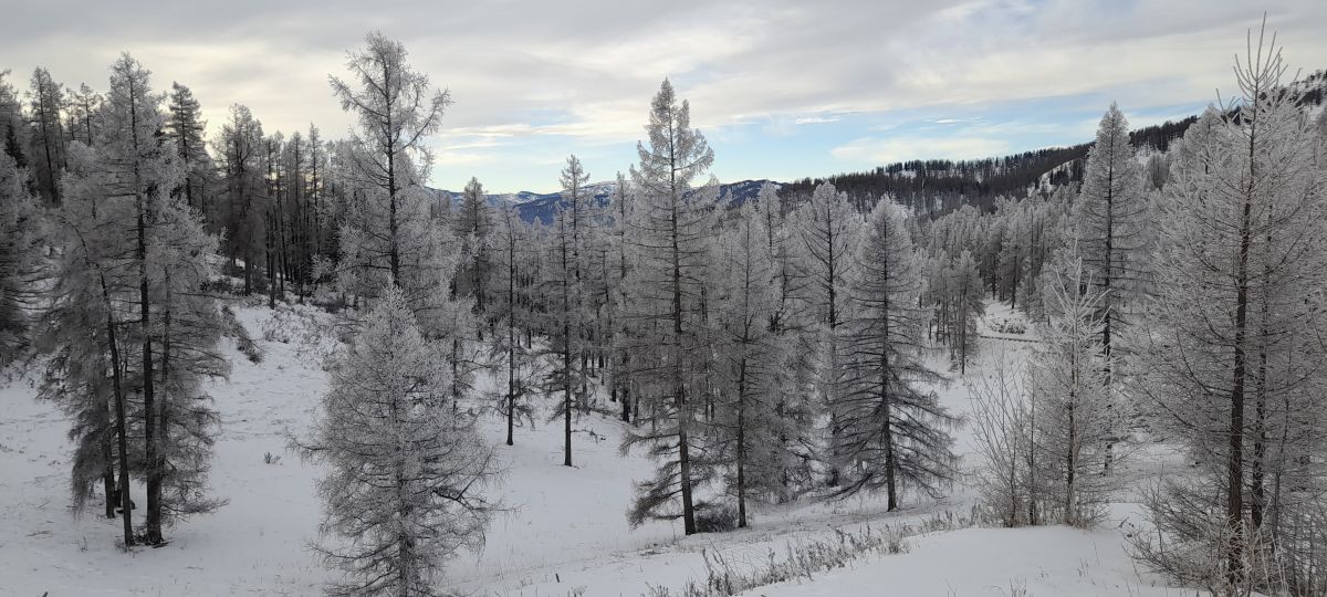 Weather Photos in Respublika Altay. Weather forecasts with beautiful photos by Olemam