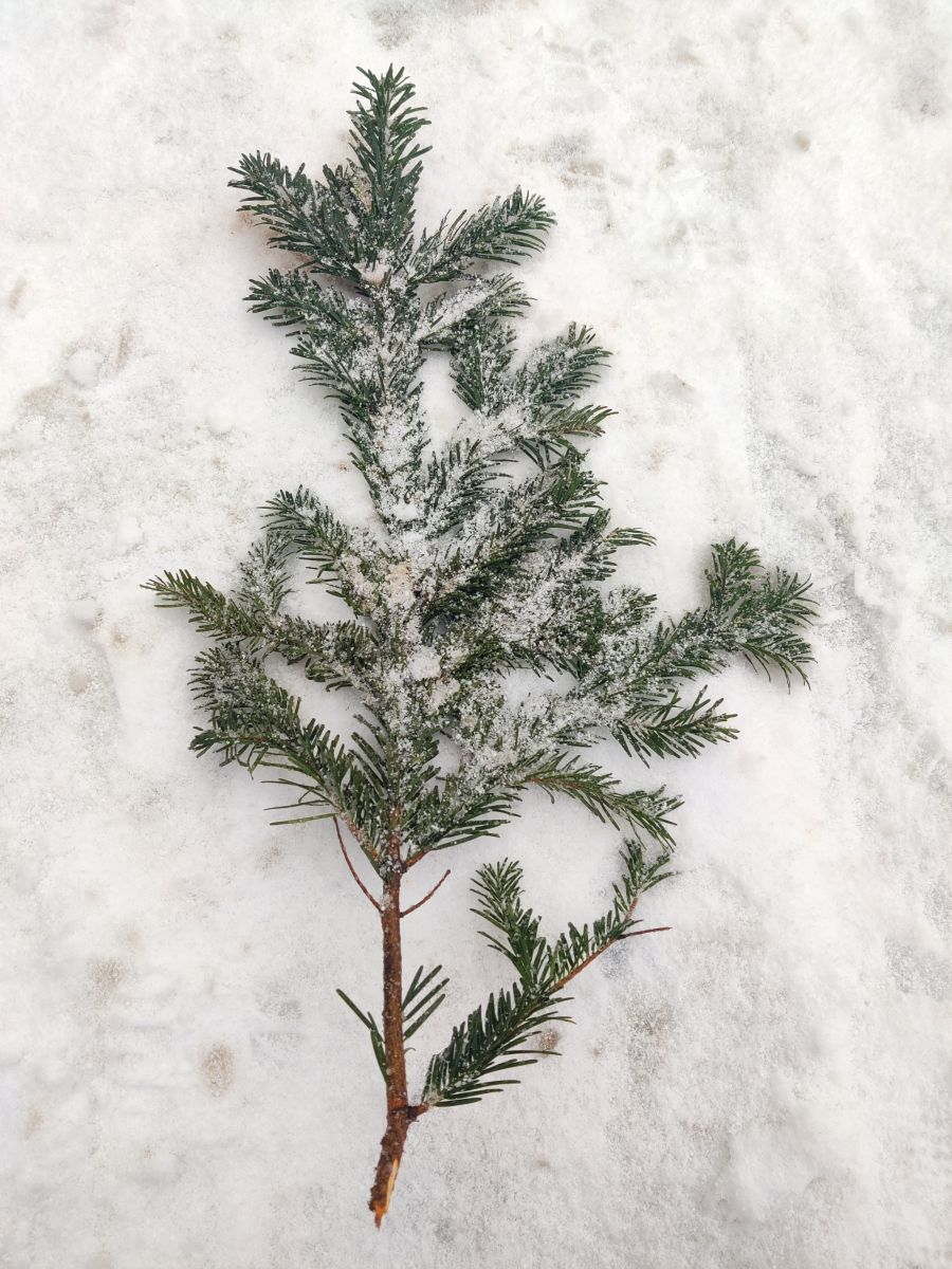 Фотограф Zorrra, Фотографии Погоды в Neukölln - Weawow