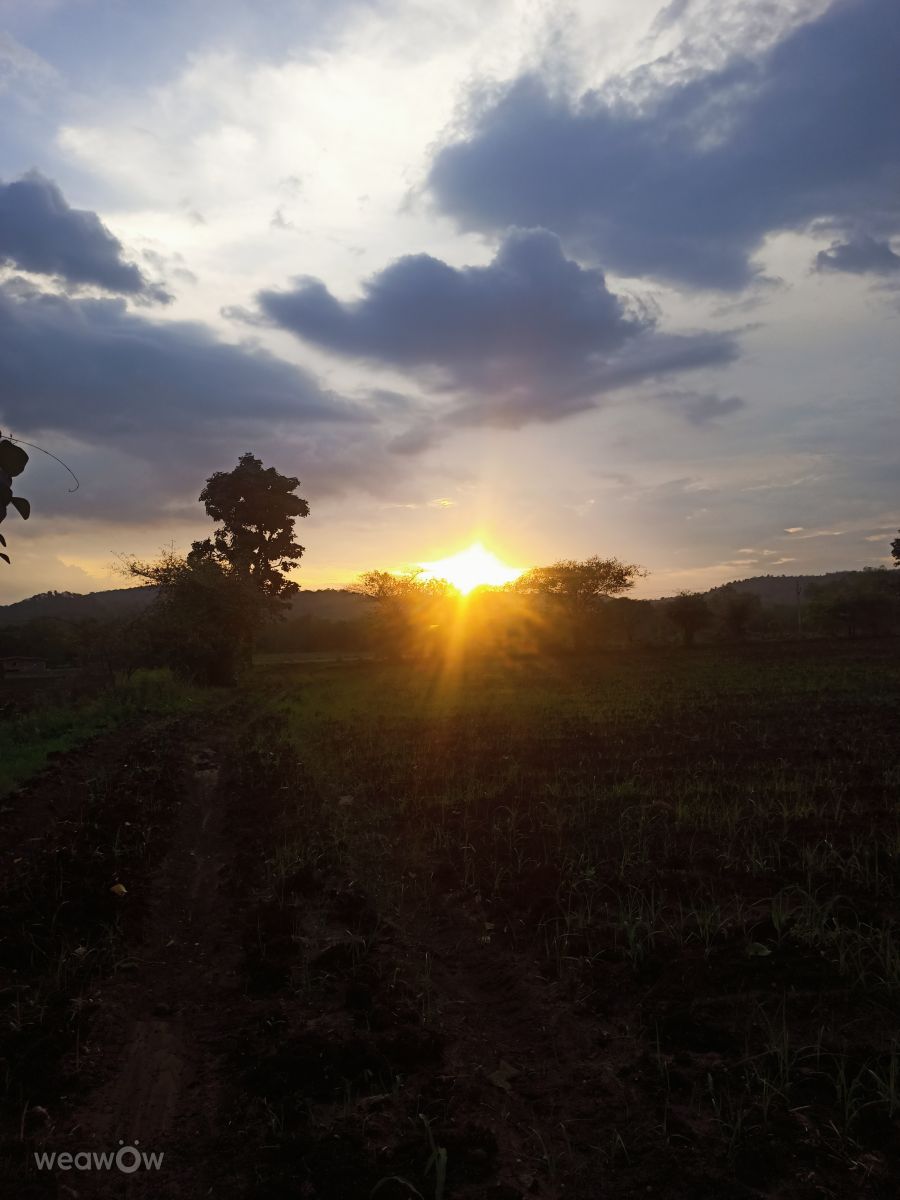 Wetter Photos Madhya Pradesh. Wettervorhersagen mit schönen Fotos von Monika001