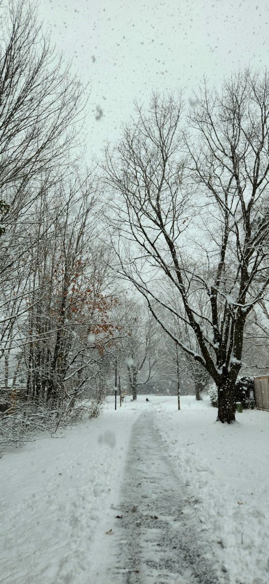 Photograph KevinG, Wetter Photos Beaverbrook - Weawow