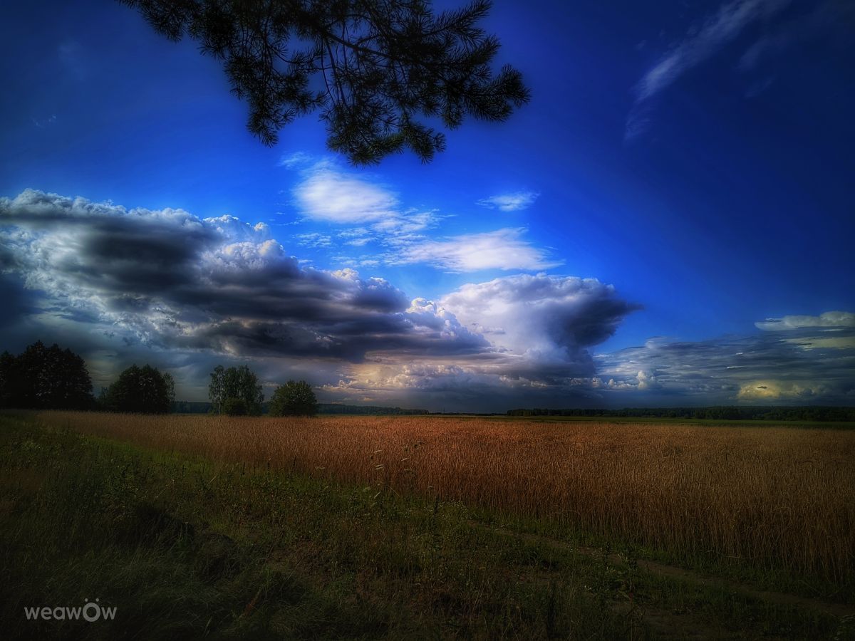 Weather Photos in Zhlobin. Weather forecasts with beautiful photos by Ennoia
