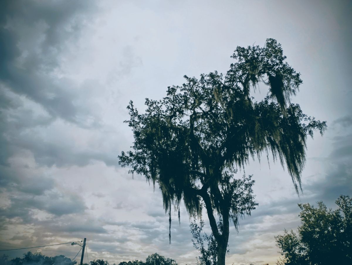 Photographer Christinam01, Weather Photos in Florida - Weawow