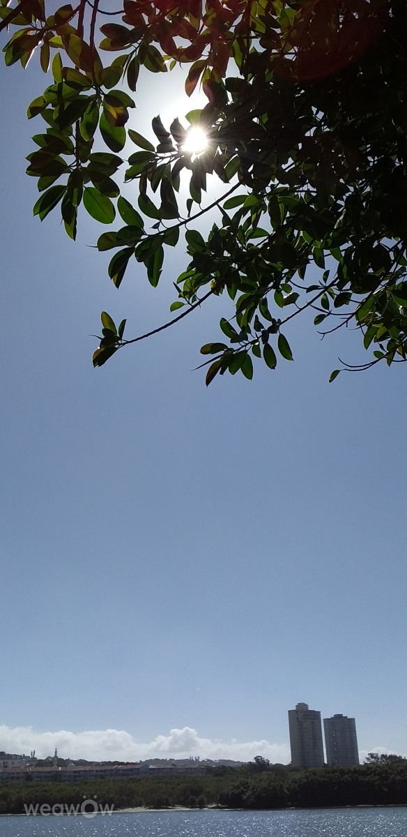 Fotos do tempo em Durban. Previsões do tempo com lindas fotos de Mirelle