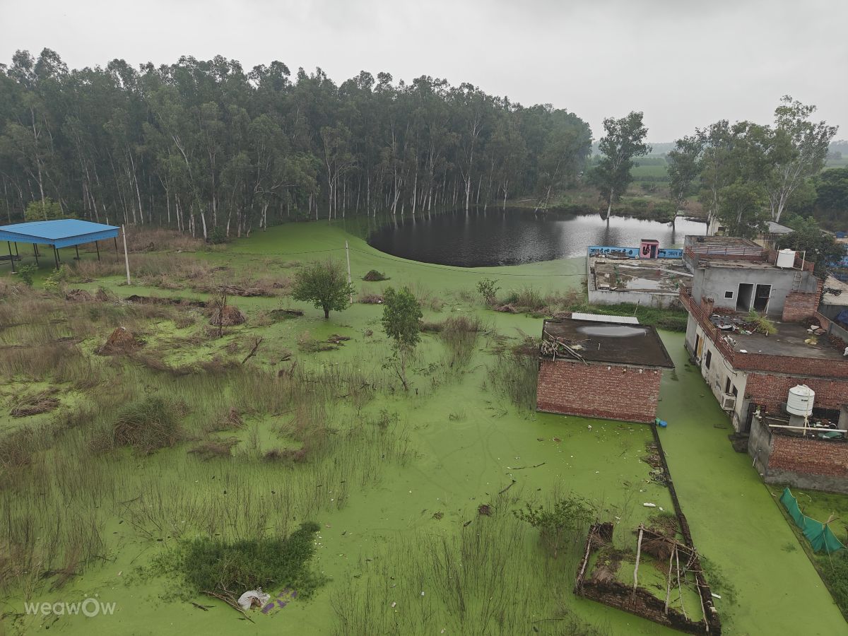 Фотографии Погоды в Харьяна. Прогнозы погоды с чудесными фотографиями, сделанными Ajaydeepsingh