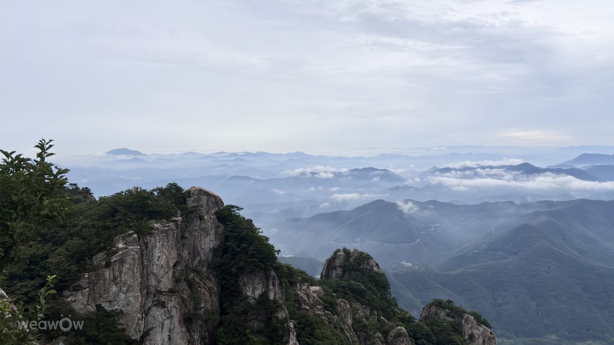 Weather forecasts with beautiful photos by Zonshix