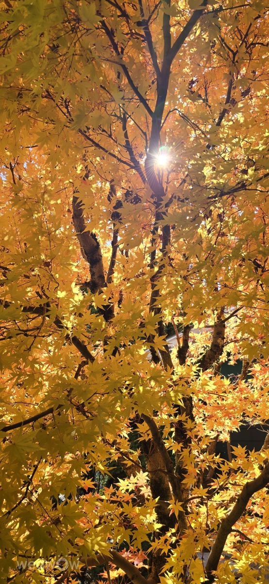 Photos météo à Caroline du Nord. Prévisions météo avec de superbes photos de Sandsidegirl