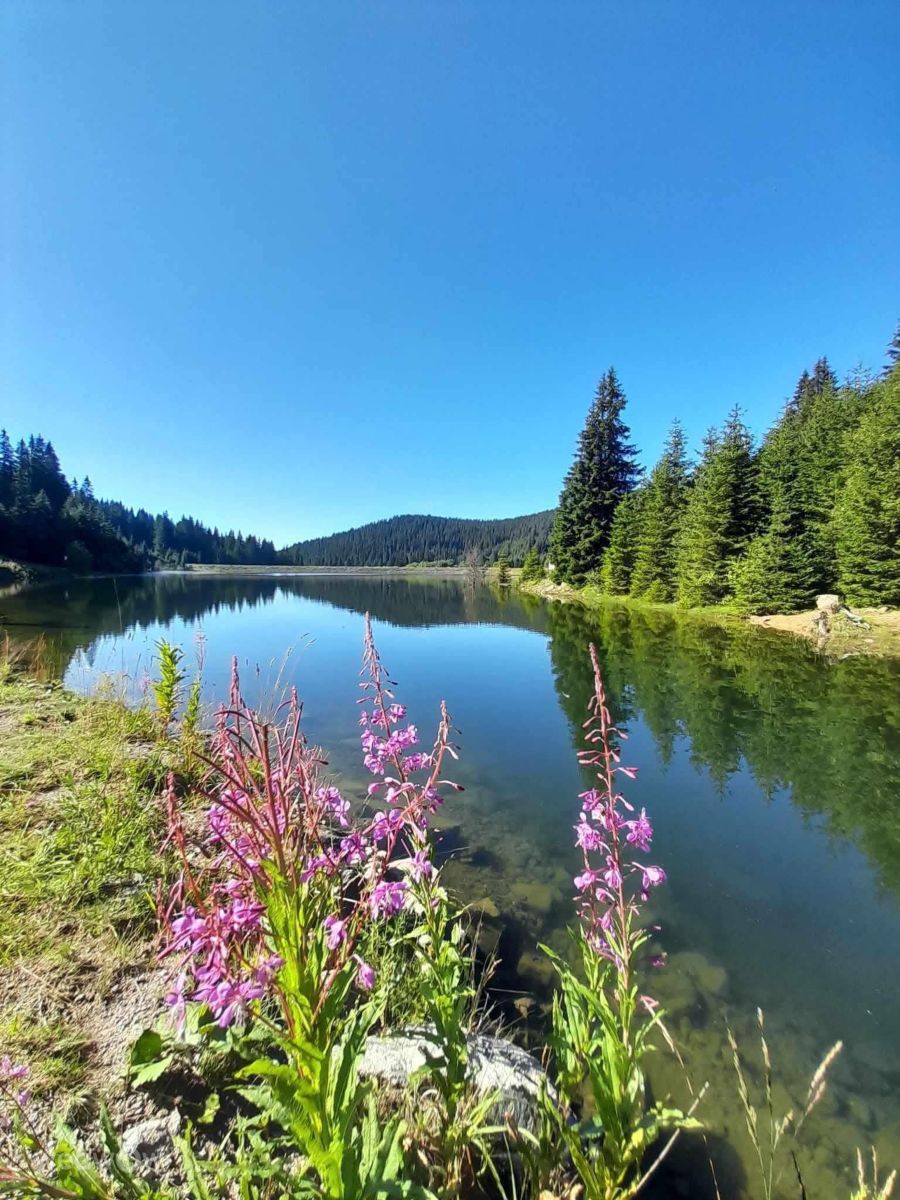 Wetter Photos Bulgarien. Wettervorhersagen mit schönen Fotos von Малина Павлова