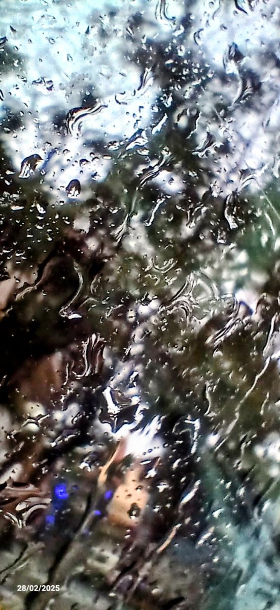 Weather Photos in Olivos. Weather forecasts with beautiful photos by SEBASTIAN14